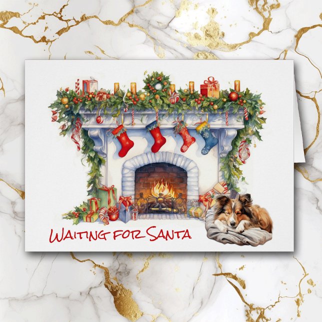 Shetland Sheepdog Wartete für Santa (Von Creator hochgeladen)