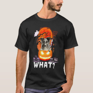 Shetland Sheepdog was Shetland Sheepdog mit Kni T-Shirt