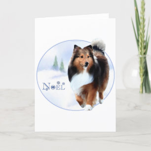 Shetland Sheepdog Weihnachten