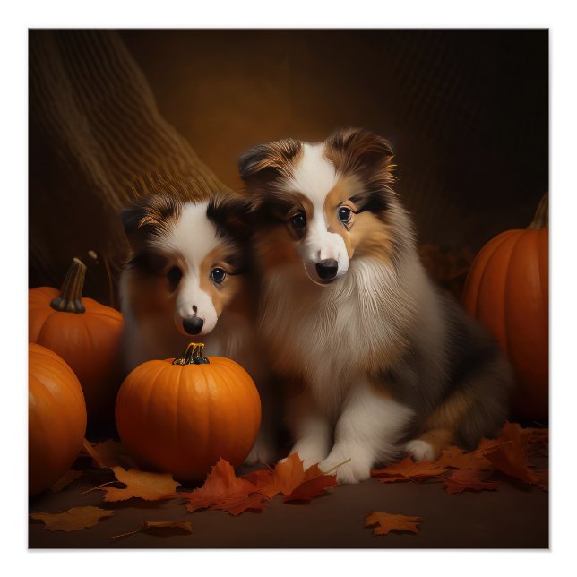 Shetland Sheepdog Welpe Autumn Delight Pumpen Poster (Vorderseite)