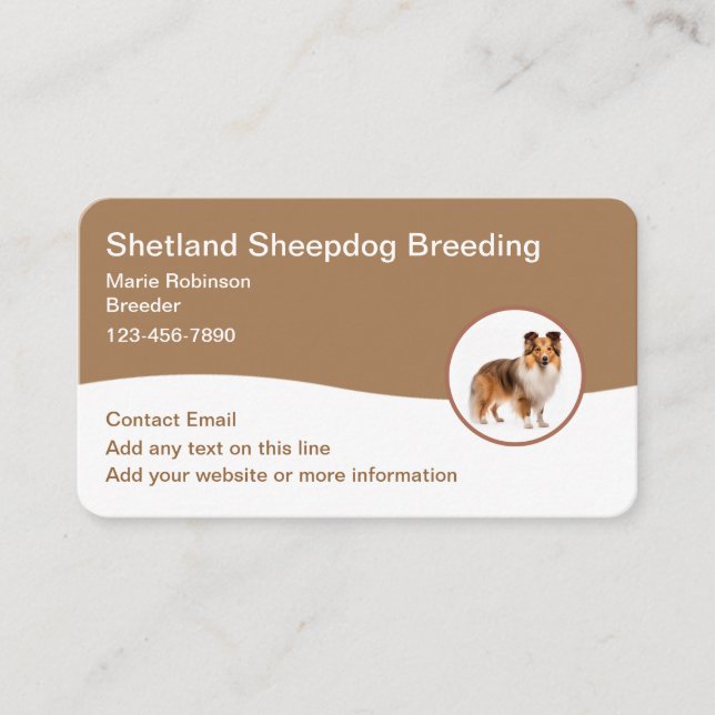 Shetland Sheepdog Züchter Moderne Visitenkarten Visitenkarte (Vorderseite)
