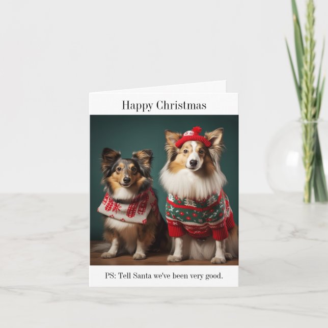 Shetland Sheepdogs Bonne carte de Noël (Devant)