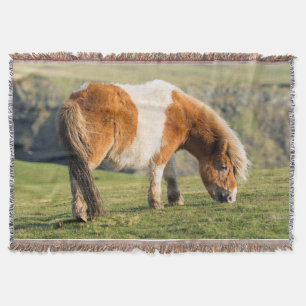 Shetlandpony auf der Weide nahe hoher Klippen Decke