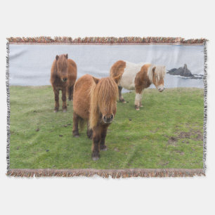 Shetlandpony auf Weide in der Nähe hoher Klippen Decke