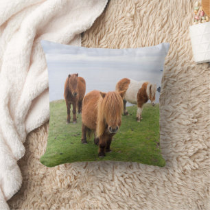 Shetlandpony auf Weide in der Nähe hoher Klippen Kissen