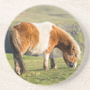 Shetlandpony auf Weide in der Nähe hoher Klippen Sandstein Untersetzer