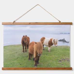 Shetlandpony auf Weide in der Nähe hoher Klippen Wandteppich Mit Holzrahmen