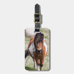 Shetlandpony, Shetlandinseln Gepäckanhänger