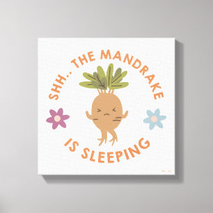 Shh.. Der Mandrake schläft Leinwanddruck