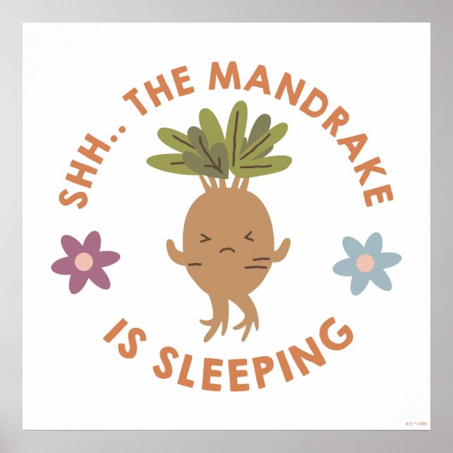Shh.. Der Mandrake schläft Poster (Vorne)