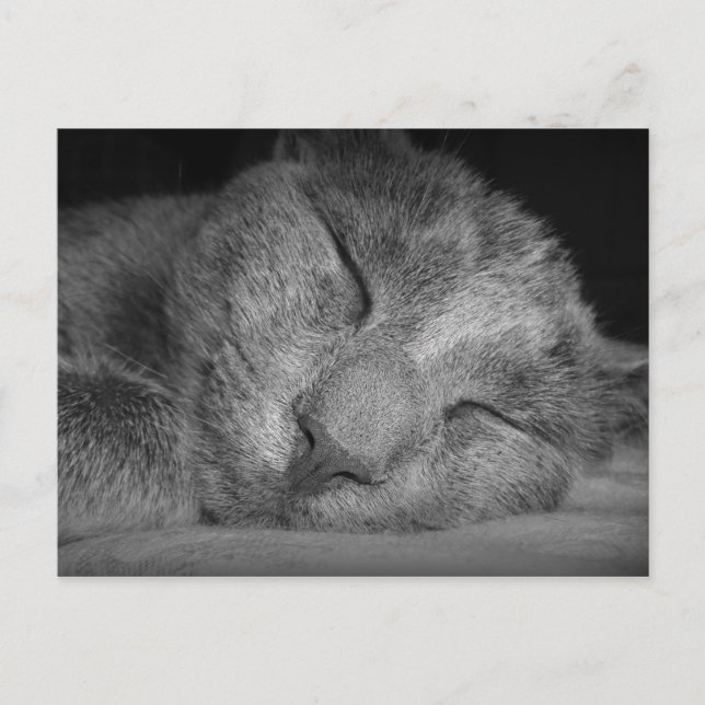 Shhhh... Postkarte (Vorderseite)