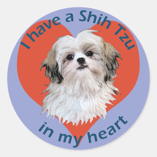 Shi Tzu in meinem Herzen Runder Aufkleber (Vorderseite)
