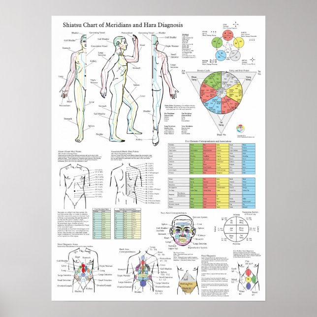 Shiatsu Akupunktur Meridians Hara Diagnosekarte Poster (Vorne)