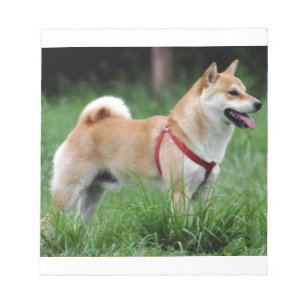 Shiba 2 vollständig notizblock