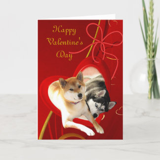 Shiba et carte sibérienne de Saint-Valentin