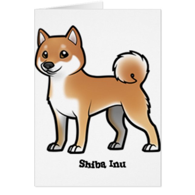 Shiba inu (Vorne)