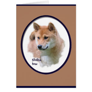Shiba Inu
