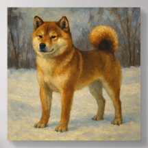 Shiba Inu