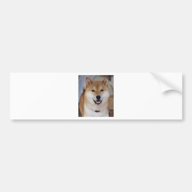 Shiba inu autoaufkleber (Vorne)