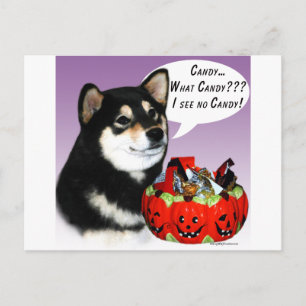 Shiba Inu (blk) Halloween Candy Postkarte