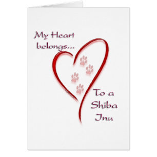 Shiba Inu Coeur Appartient