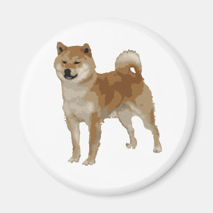 Shiba Inu Dog Magnet
