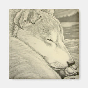Shiba Inu Frigo Magnet Husky Dog Magnet Cadeau