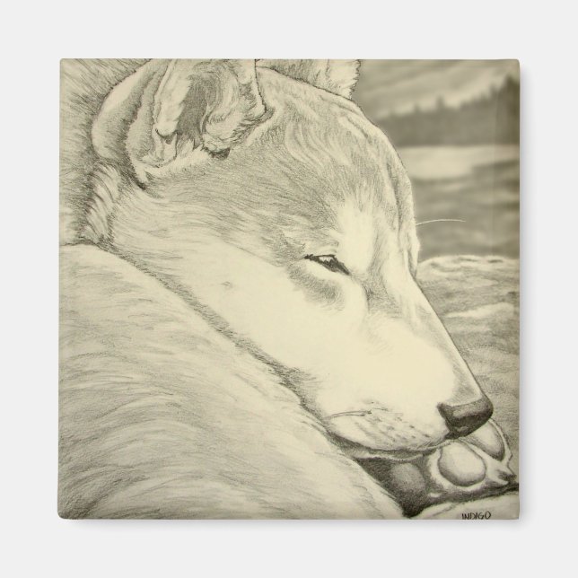 Shiba Inu Frigo Magnet Husky Dog Magnet Cadeau (Devant)