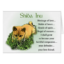 Shiba Inu Geschenke