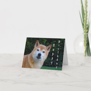 shiba inu glücklicher Geburtstag Karte