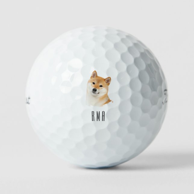 Shiba Inu Golfball (Vorderseite)