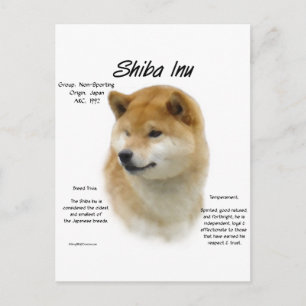 Shiba Inu History Postkarte
