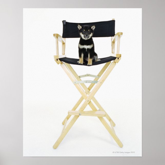 Shiba Inu Hund auf dem Stuhl des Regisseurs Poster (Vorne)