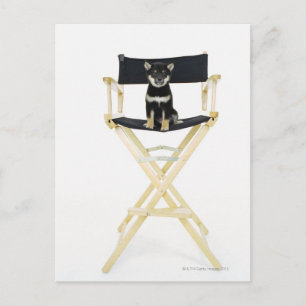 Shiba Inu Hund auf dem Stuhl des Regisseurs Postkarte