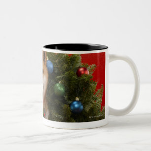 Shiba Inu Hund, der im WeihnachtsKranz sitzt Zweifarbige Tasse