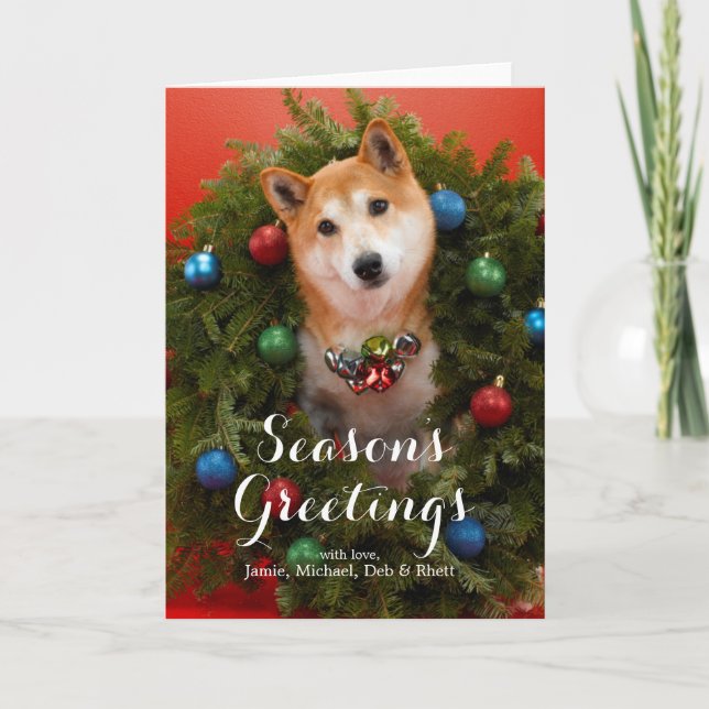 Shiba Inu Hund Feiertagskarte (Vorderseite)