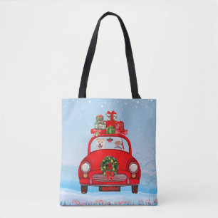 Shiba Inu Hund in Auto mit dem Weihnachtsmann Tasche