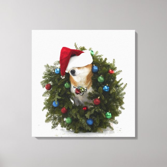 Shiba Inu Hund mit Weihnachtsmannmütze sitzend Leinwanddruck (Vorderseite)