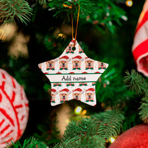 Shiba Inu Hunderasse Weihnachtssterne Keramik Ornament