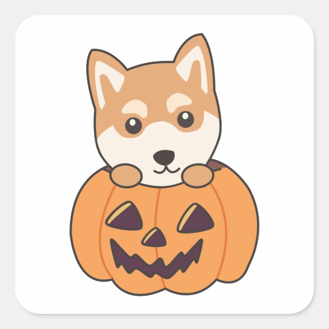 Shiba Inu in Pumpkin Sweet Hunde glückliche Hallow Quadratischer Aufkleber (Vorderseite)