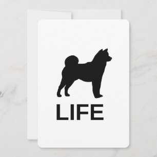 Shiba Inu Leben Einladung