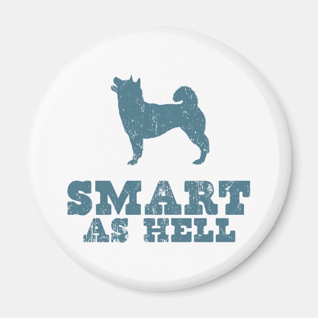 Shiba Inu Magnet (Vorne)