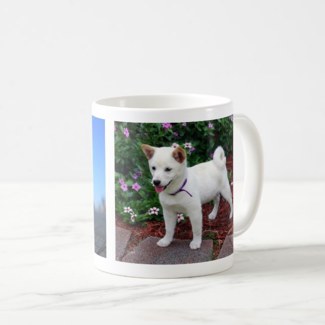 Shiba-inu Maru Kaffeetasse (VorderseiteRechts)
