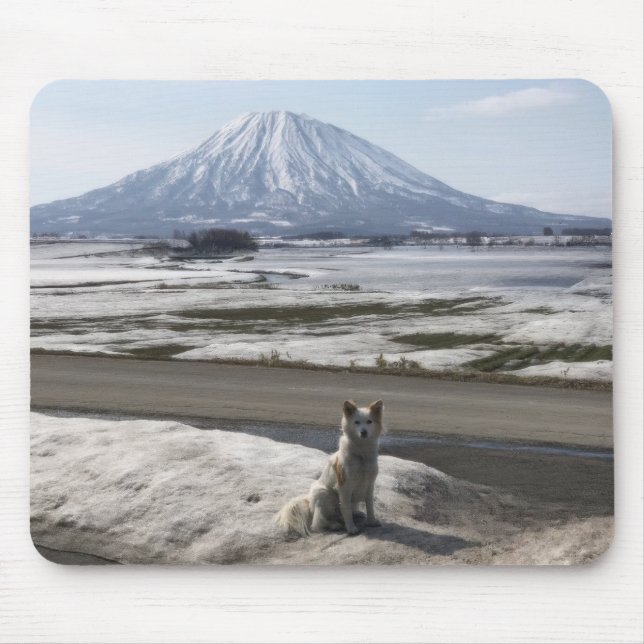 Shiba Inu Mousepad (Vorne)