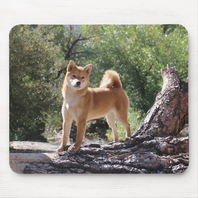 Shiba Inu Mousepad (Vorne)