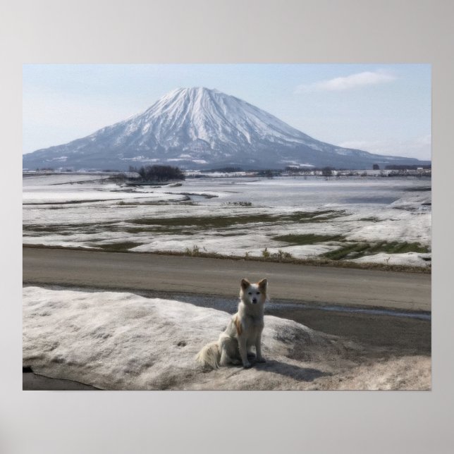 Shiba Inu Poster (Vorne)