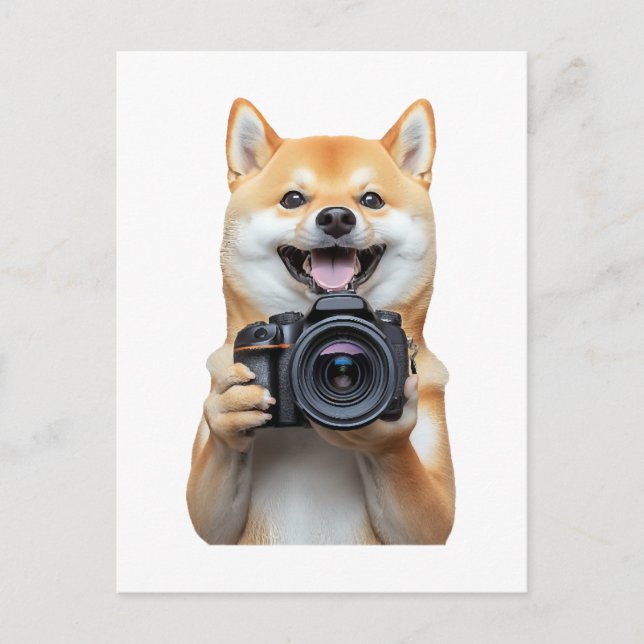 Shiba Inu     Postkarte (Vorderseite)