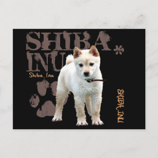 Shiba Inu Postkarte