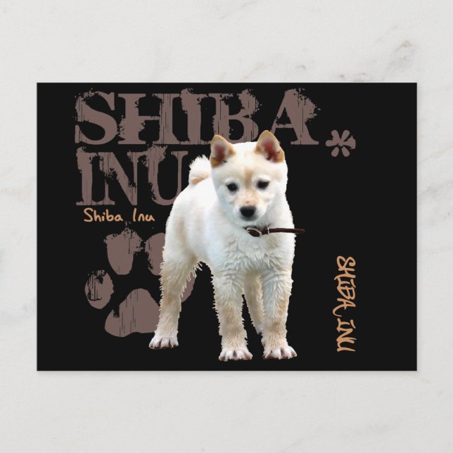 Shiba Inu Postkarte (Vorderseite)