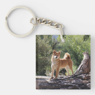 Shiba Inu Schlüsselanhänger